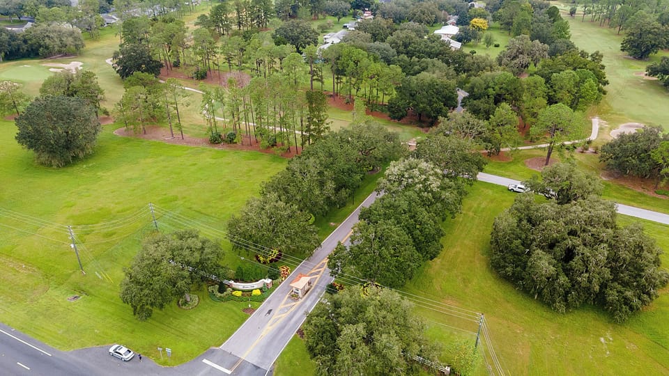 Aerial view