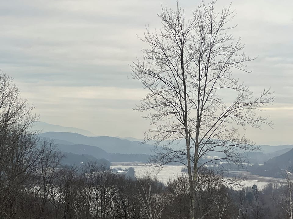 Cloudy Spring Day View
