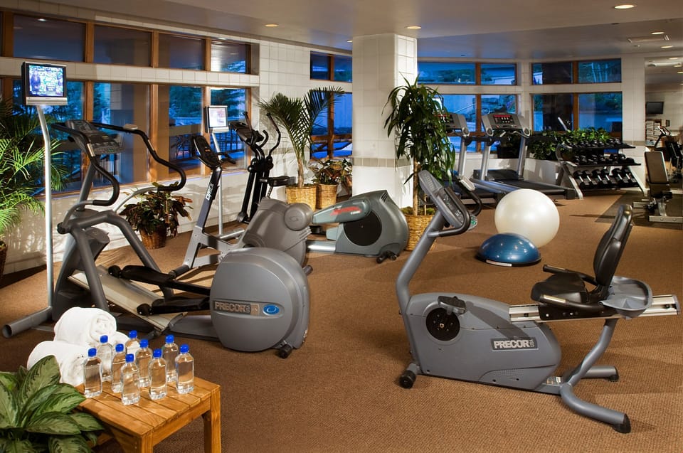 Stay fit with a variety of equipment at your fingertips, surrounded by natural light and greenery.
