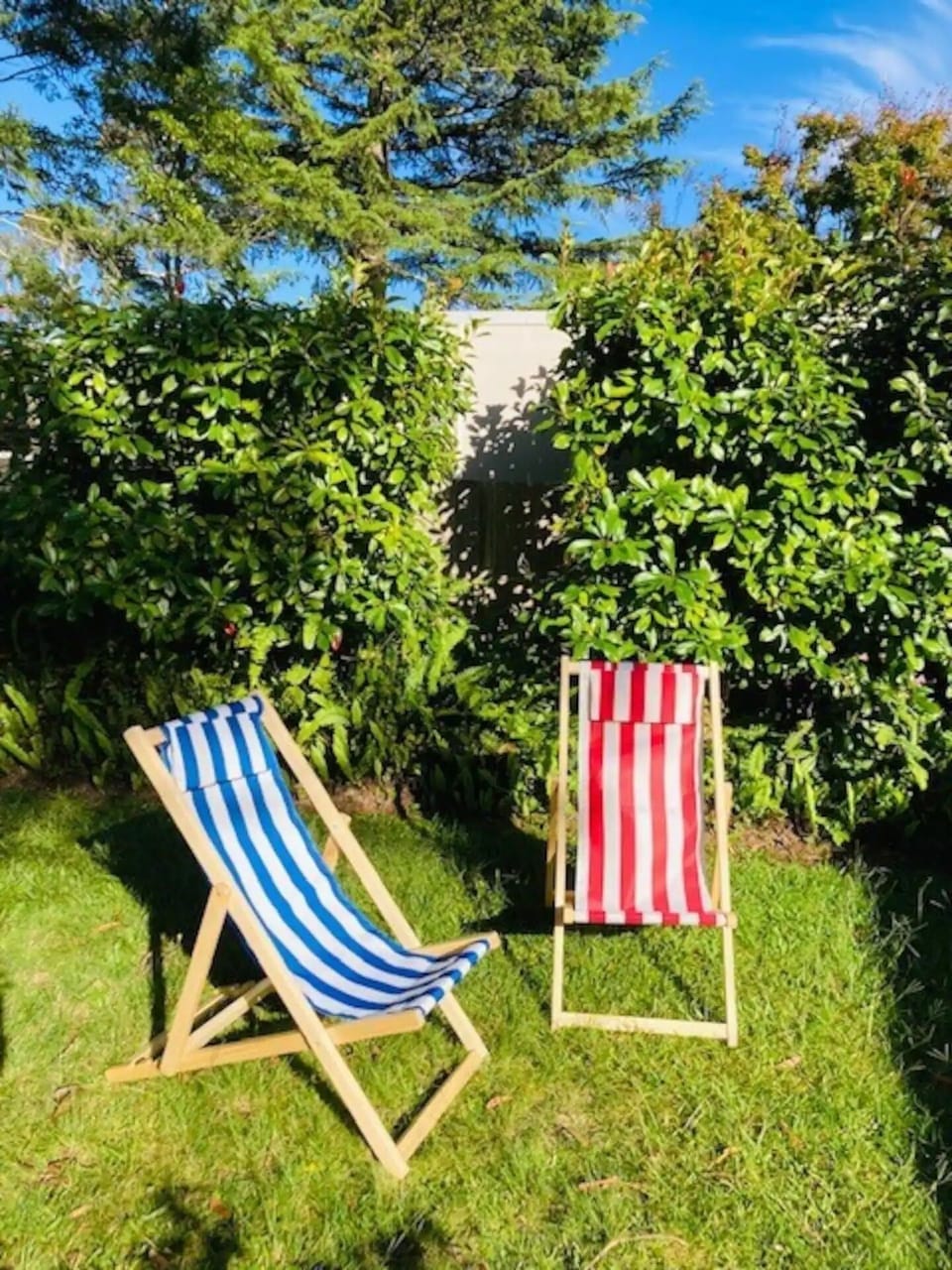 deck chairs on the back lawn