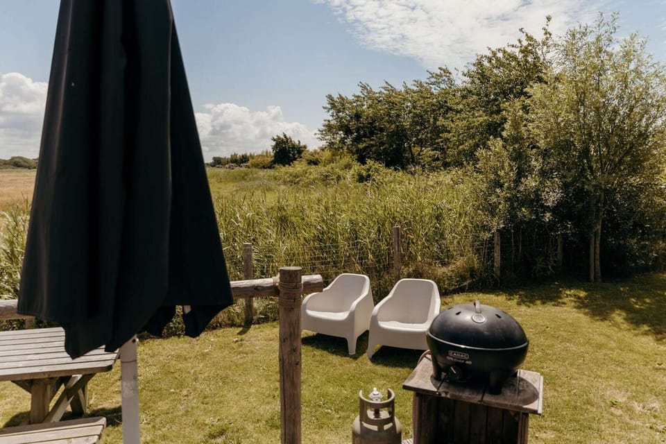 Garden [summer]