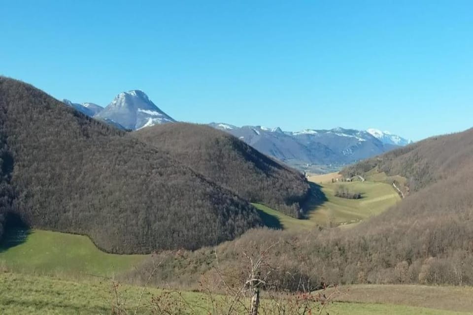 Region [summer] (>5 km)