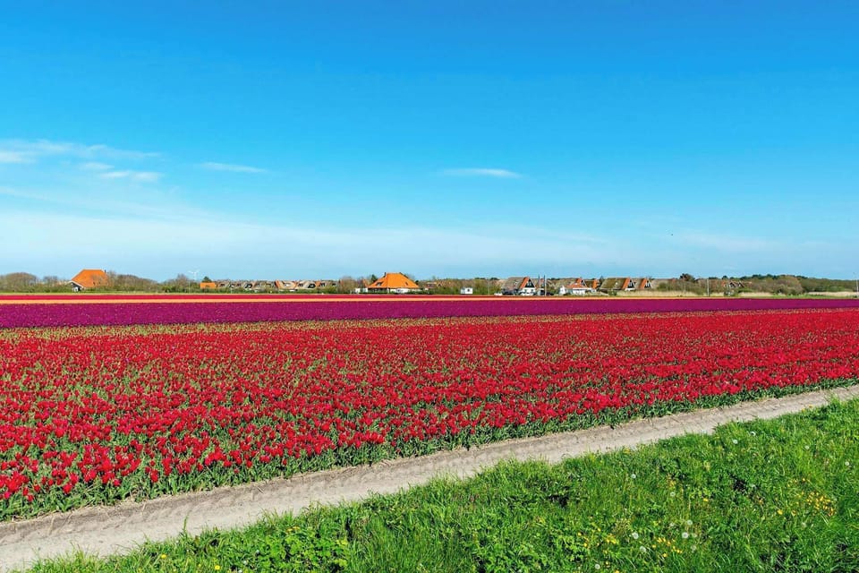 Region [summer] (>5 km)
