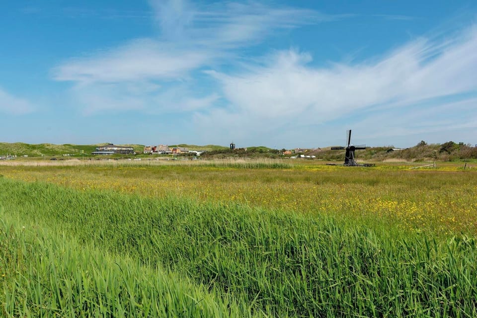 Surroundings [summer] (1-5 km)