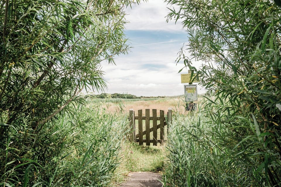 Surroundings [summer] (1-5 km)