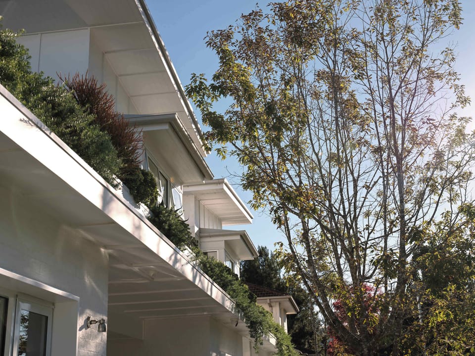 Exterior detail