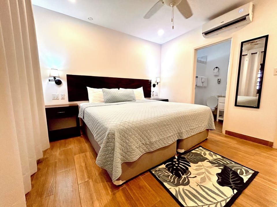 Basic Room, 1 King Bed | In-room safe, iron/ironing board, free WiFi