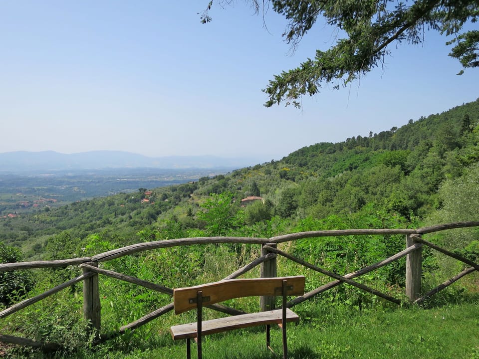 View