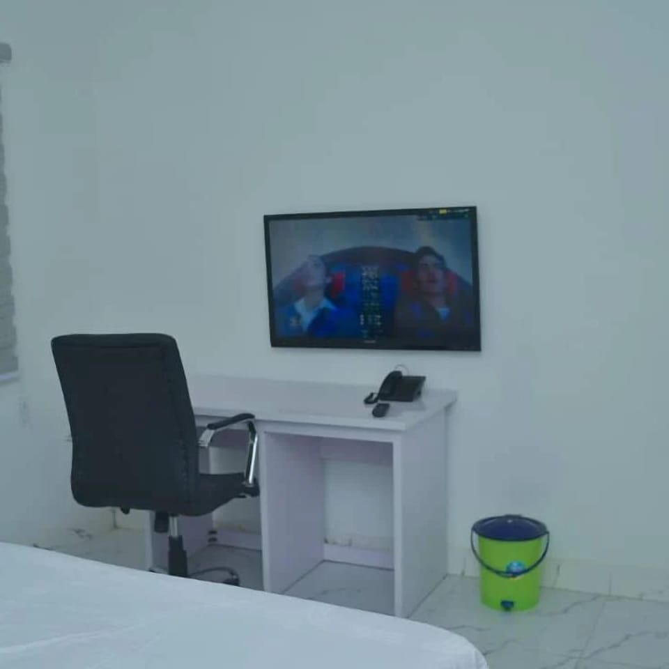 Television