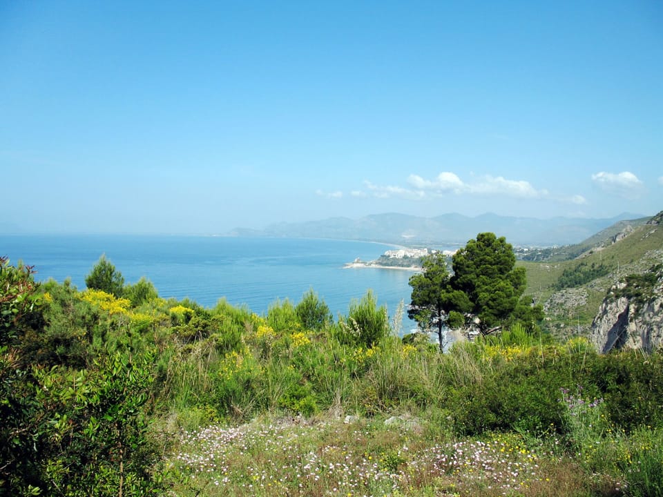 View