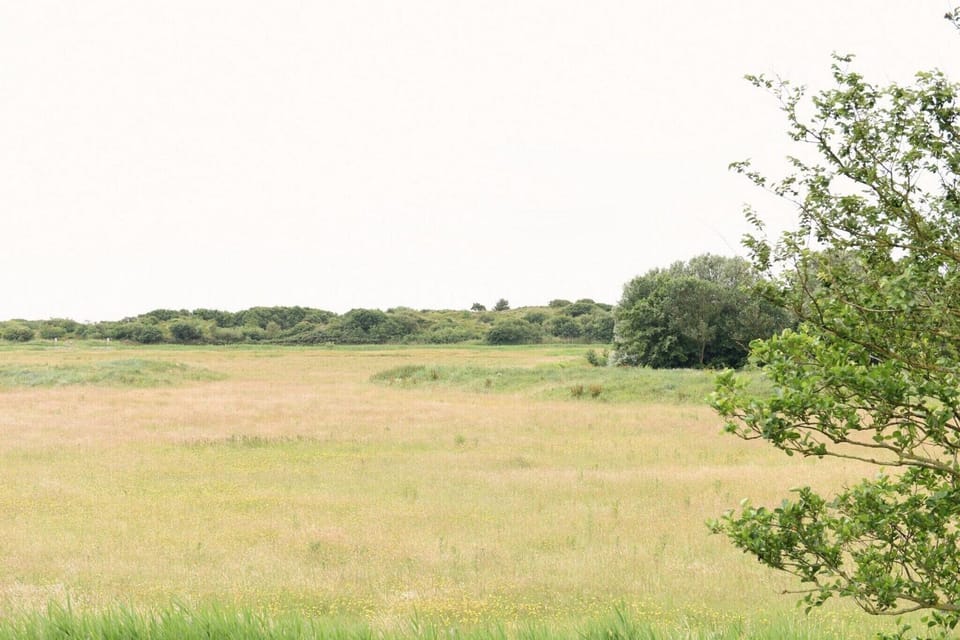 View from Holiday Home [summer]