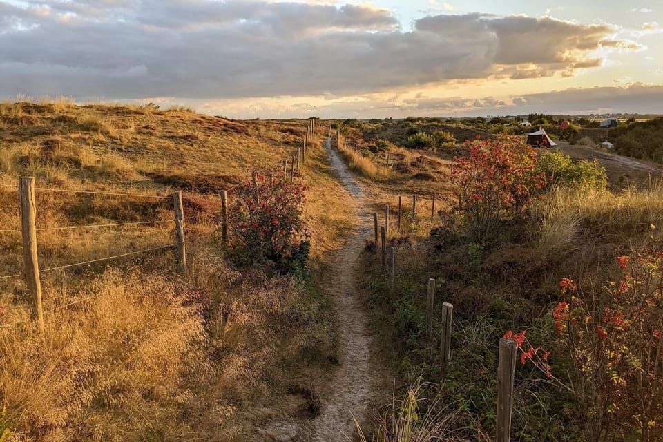 Surroundings [summer] (1-5 km)