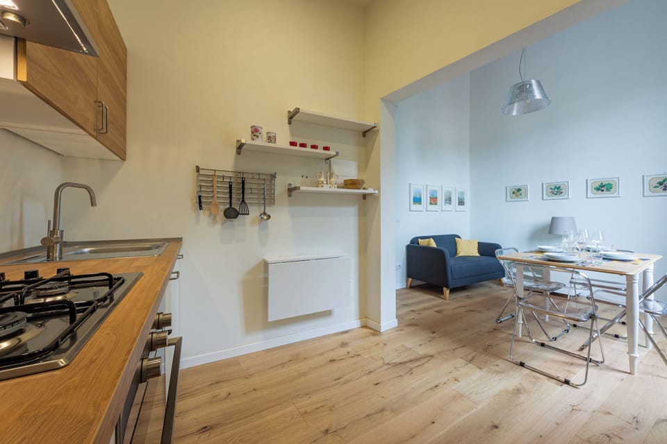 Classic Apartment | Private kitchen | Full-size fridge, oven, dishwasher, cookware/dishes/utensils