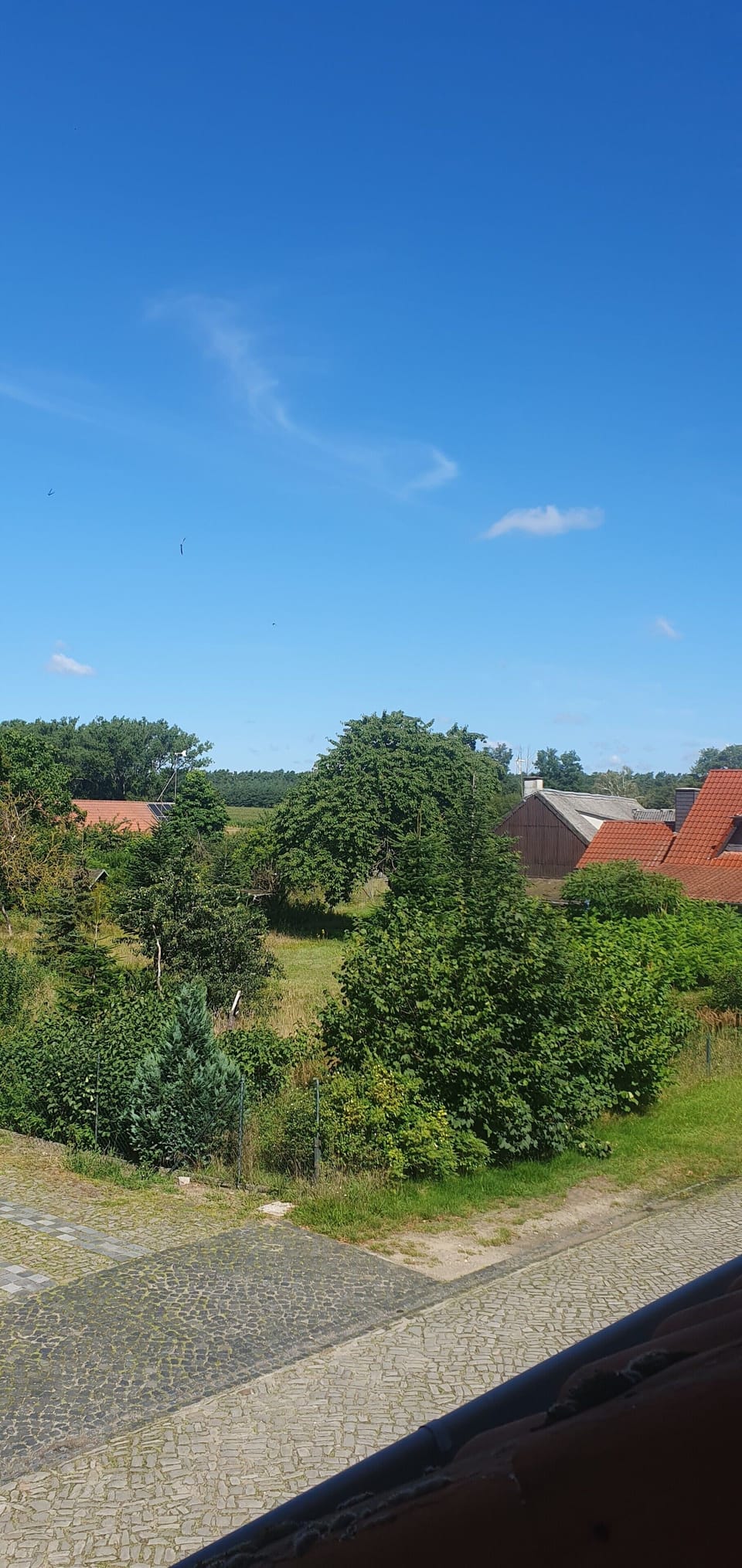 View from property