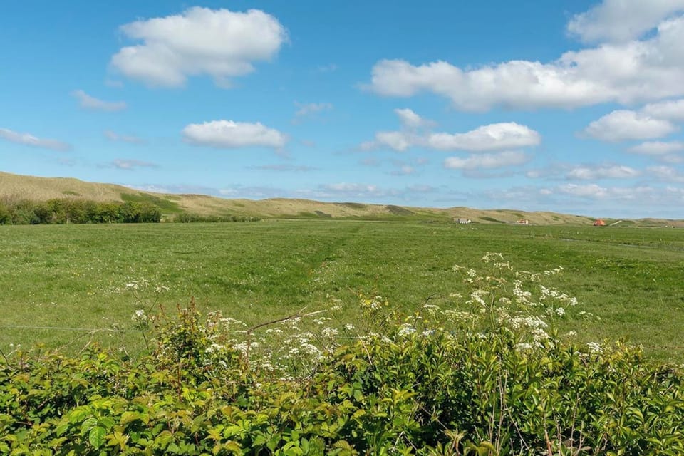 Immediate Surroundings [summer] (<1 km)