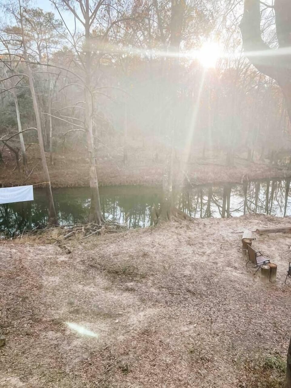 This is a view from the porch of Cabin 3.  You are feet from the Bayou. 