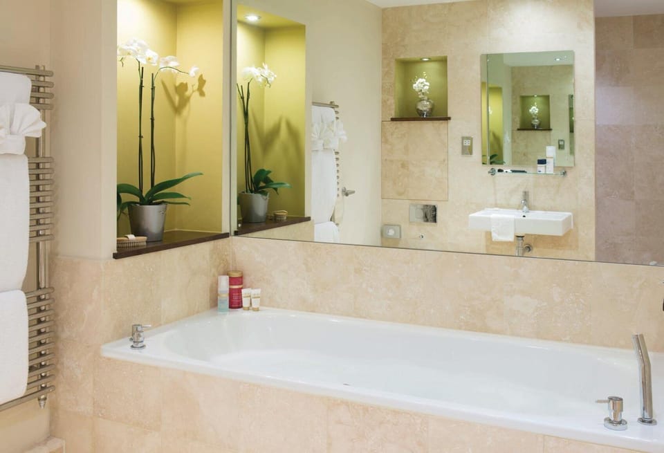 Combined shower/tub, free toiletries, hair dryer, bathrobes