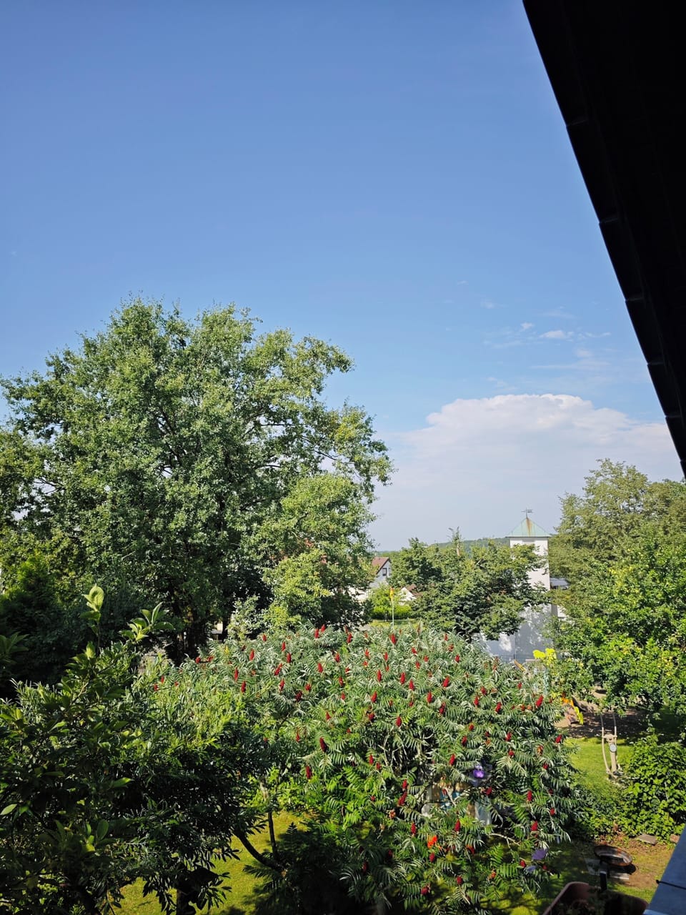 View from property