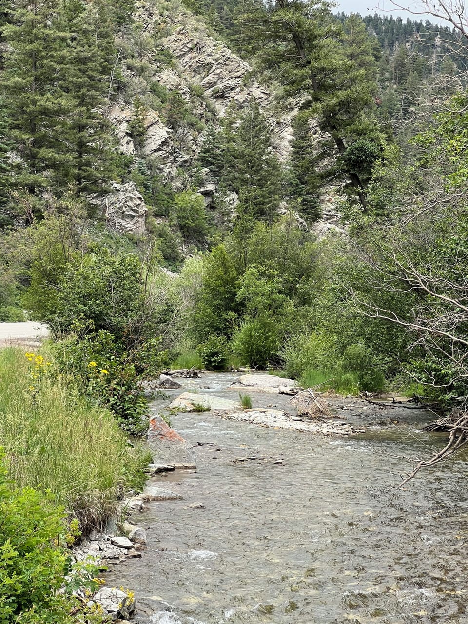 scenery when driving  up to condo