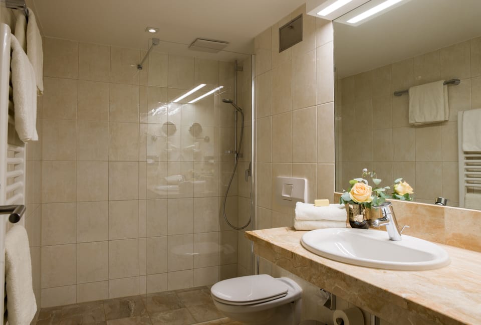 Free toiletries, hair dryer, bathrobes, towels