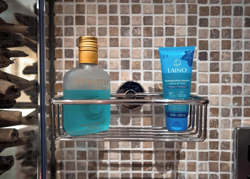 Suite BARBUDA | Bathroom | Free toiletries, hair dryer, towels, soap