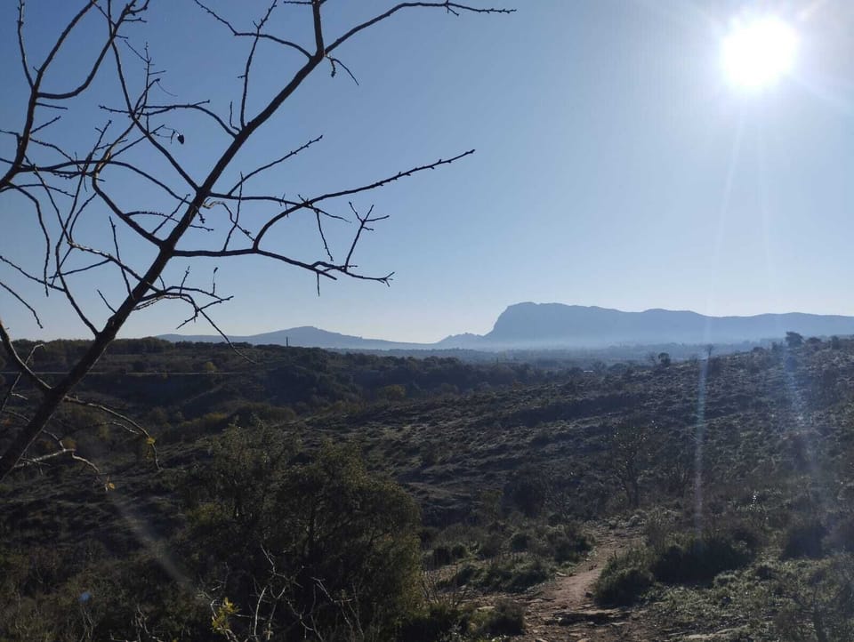 Pic saint loup