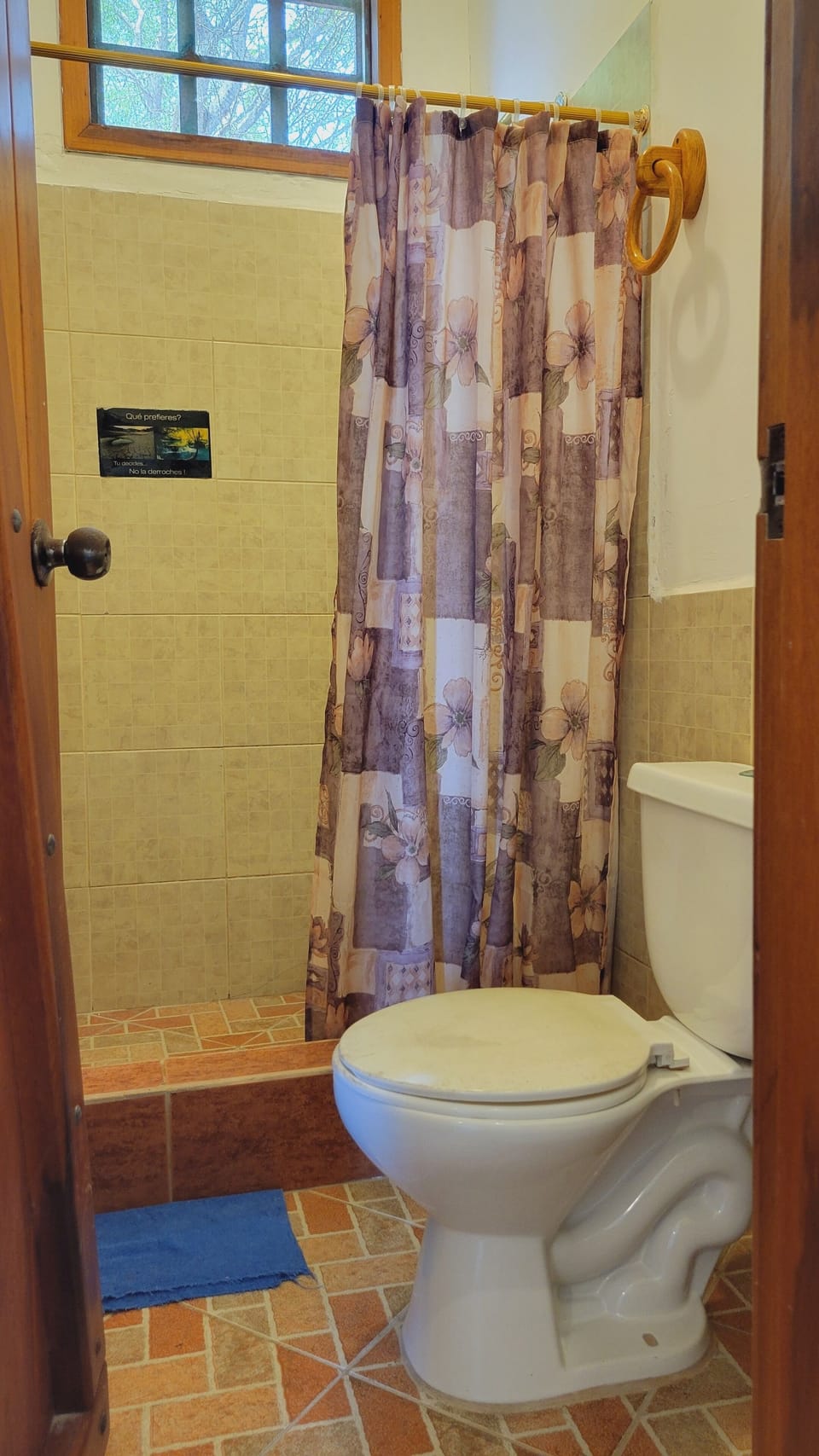 Shower, towels, soap, shampoo