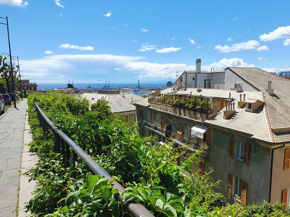 View from property