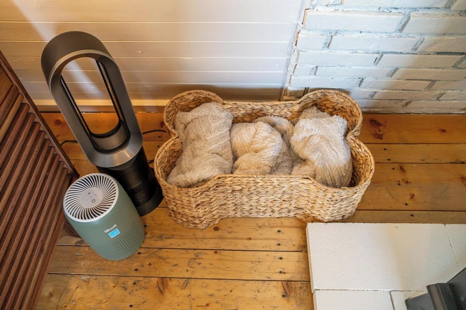 Dyson heater/fan, air purifier, and dog blankets
