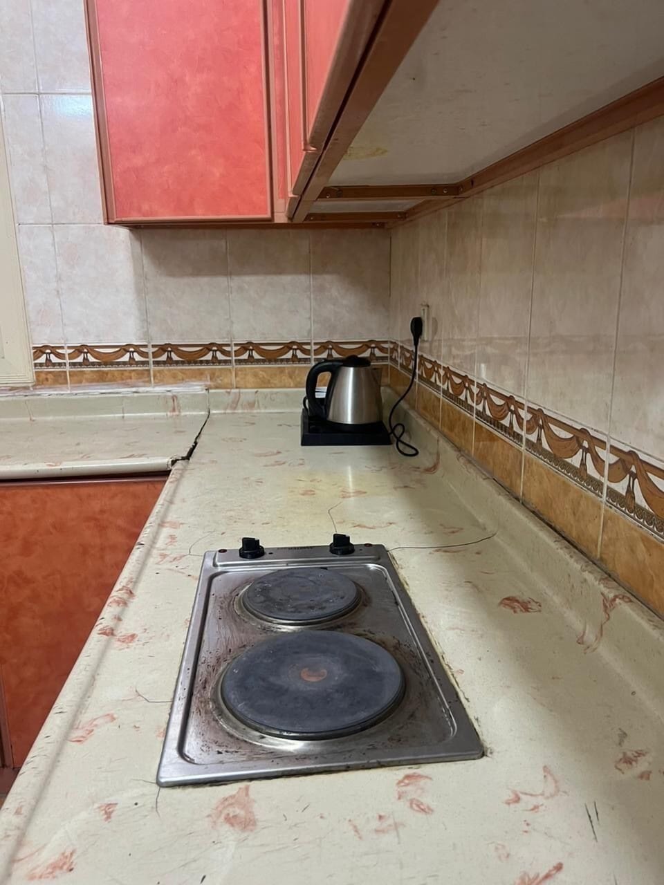 Family Apartment | Private kitchen | Mini-fridge, oven, stovetop