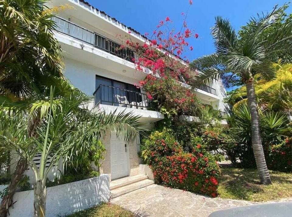Building entrance with tropical garden