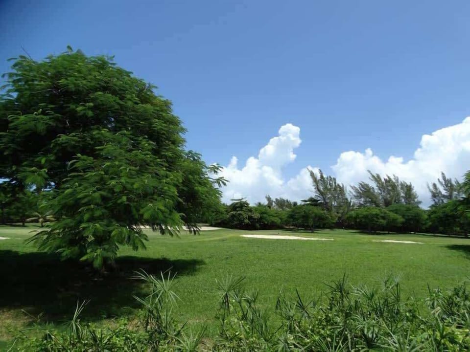 Garden lawn (shared)