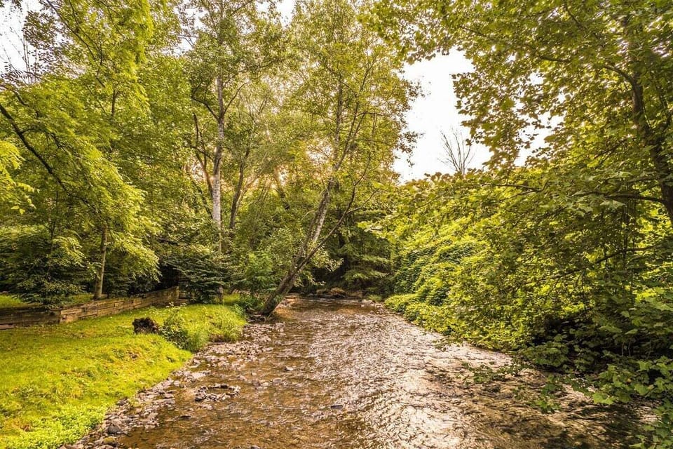 Flowing creek bordered by trees and greenery beside the property. Riverfront location offering direct access to mountain water views near Bryson City.