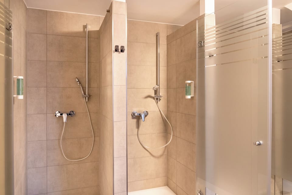 Shower, towels, toilet paper