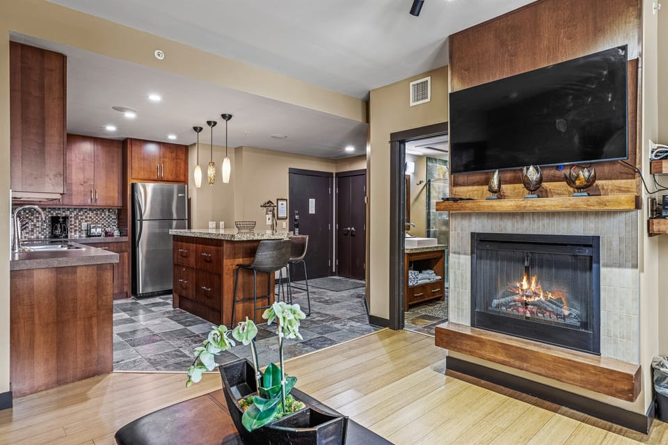 Fire Place and Entry
