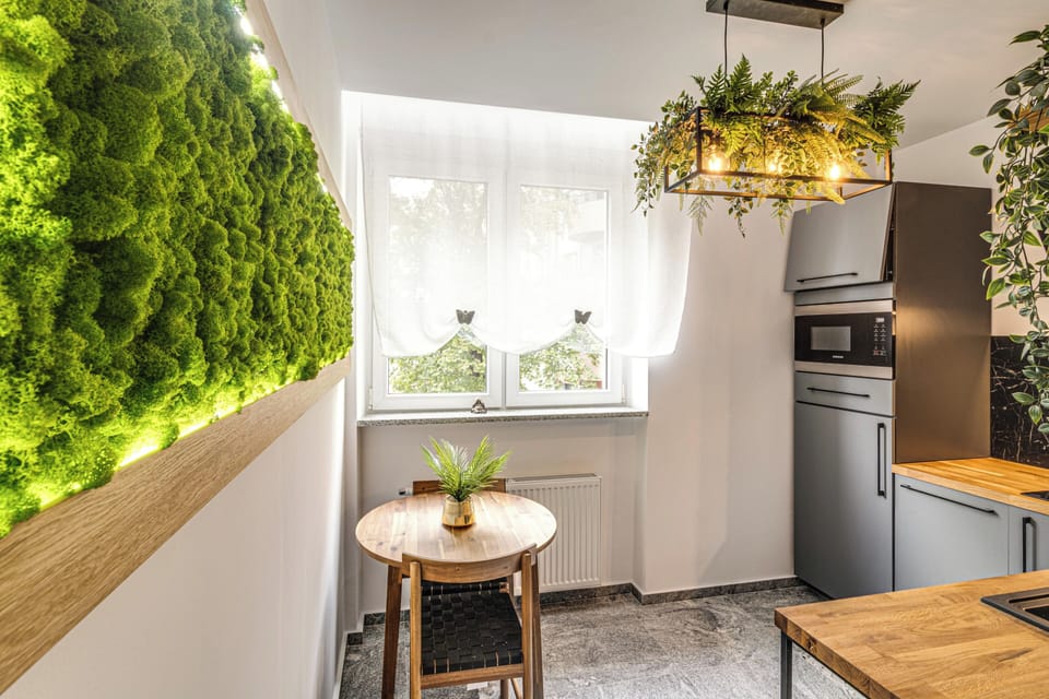 Comfort Apartment, 2 Bedrooms, Balcony | Private kitchen | Fridge, stovetop, electric kettle, cookware/dishes/utensils