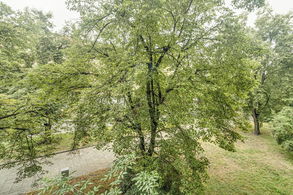 Comfort Apartment, 2 Bedrooms, Balcony | Balcony view