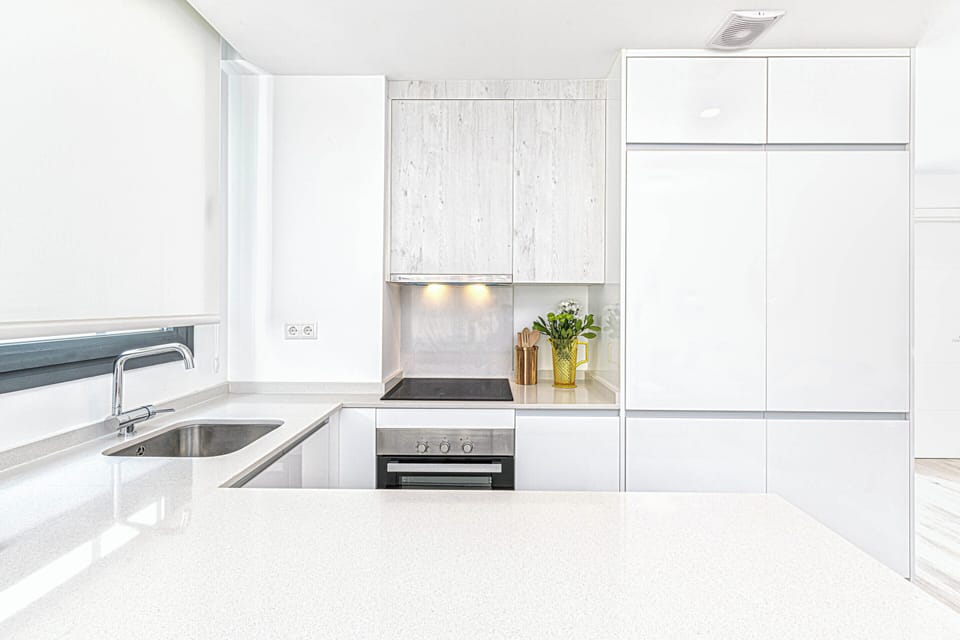 Deluxe Apartment | Private kitchen | Full-size fridge, microwave, oven, dishwasher
