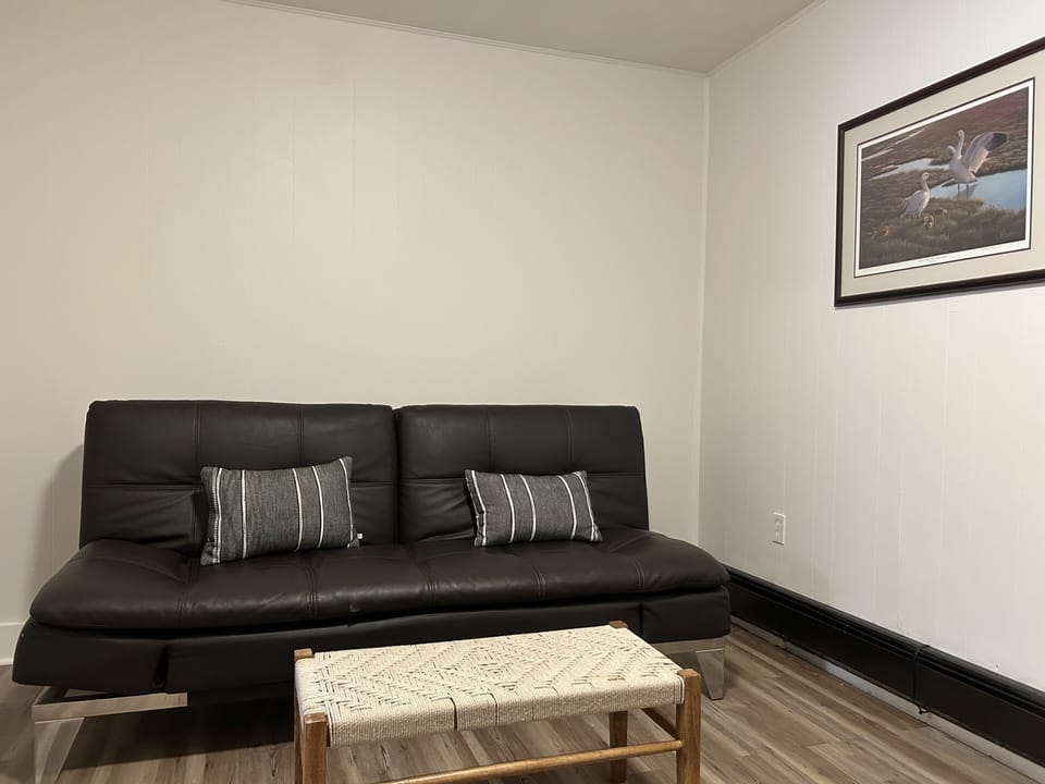 Deluxe Studio Suite | Living area