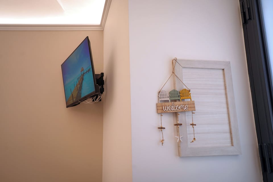 Television