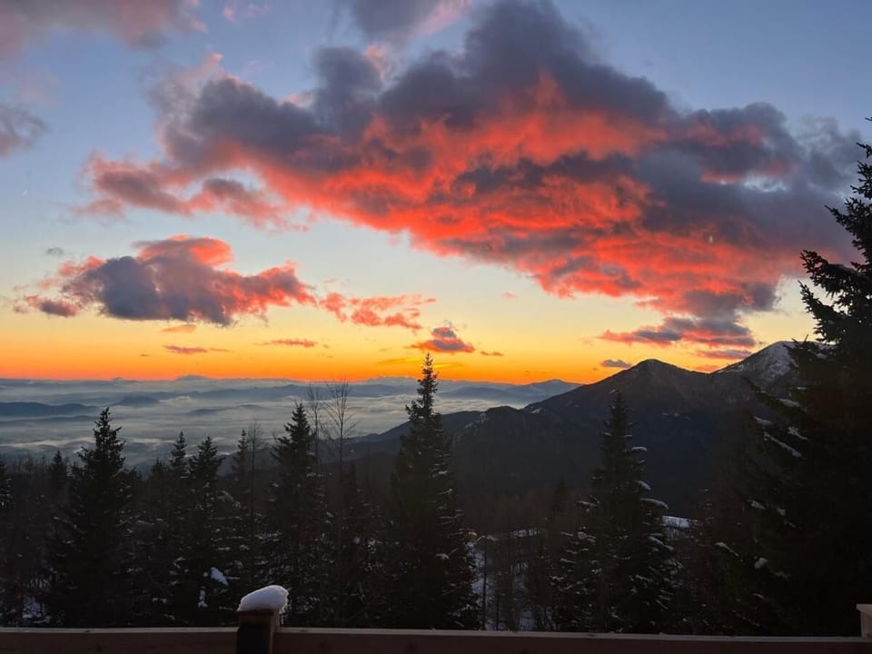 The view