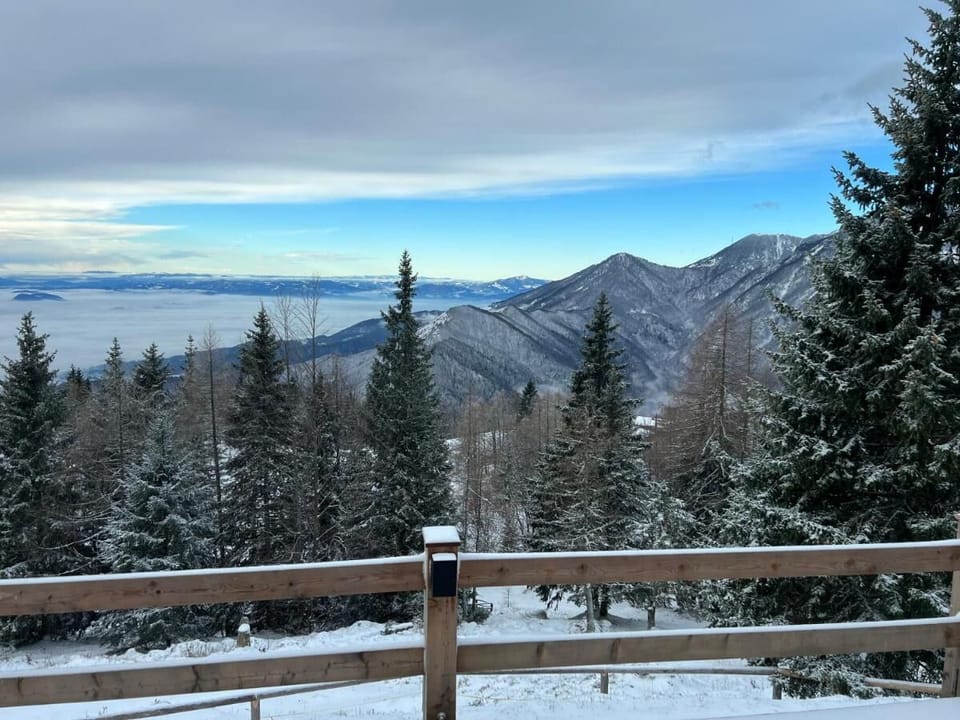 The view