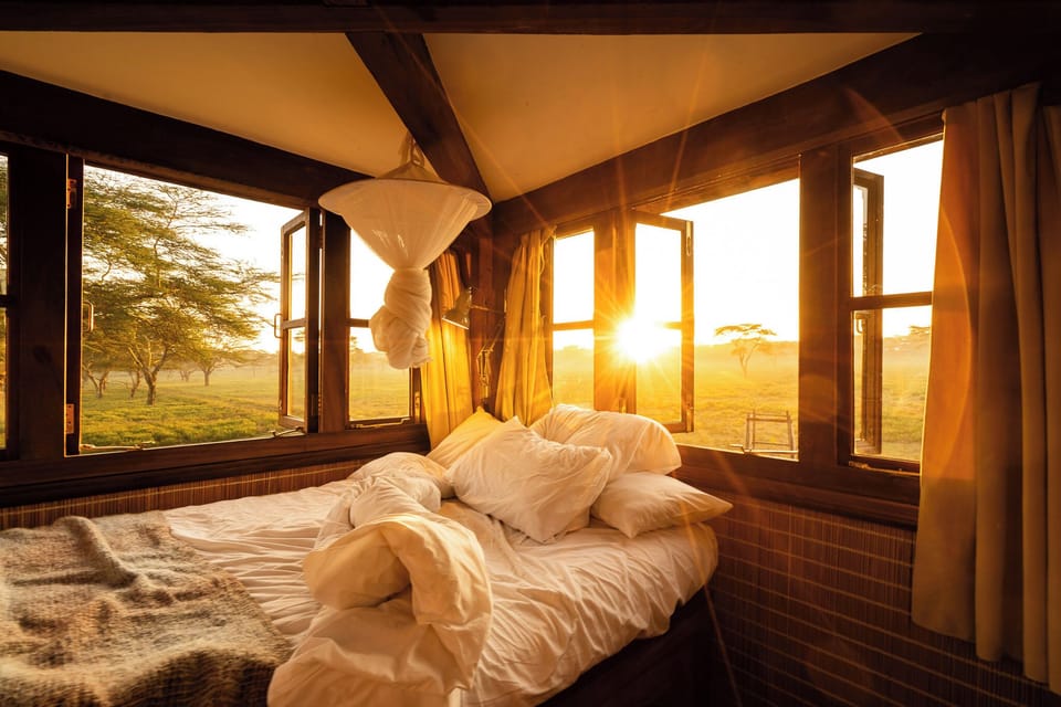 comfy bed with 360 degree window
