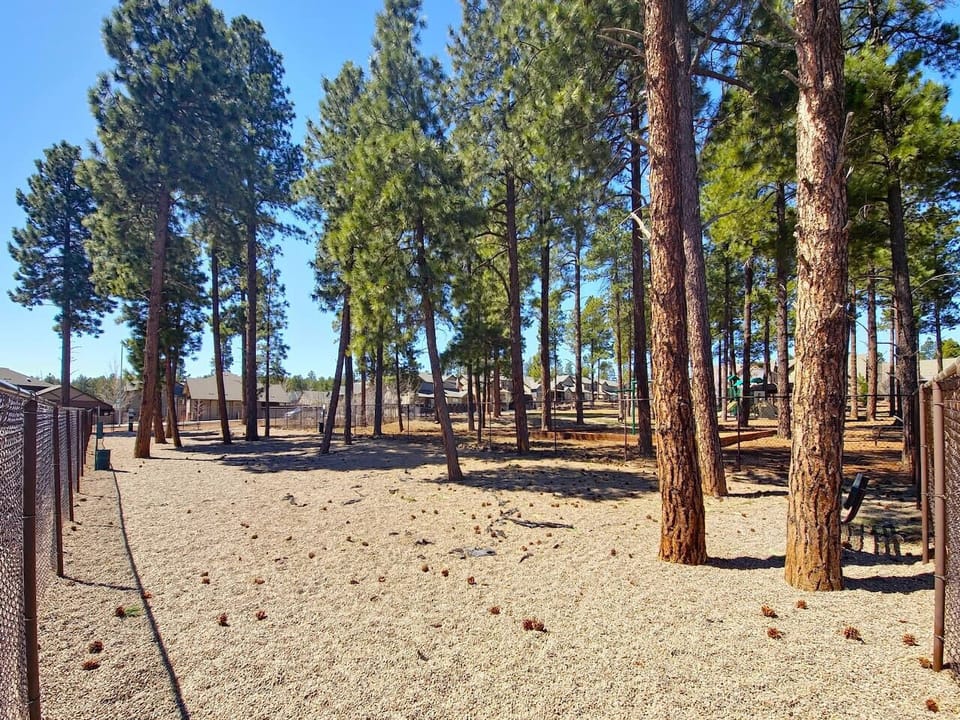 Your pups can enjoy the fresh Northern Arizona air too, while playing at the nearby dog park!