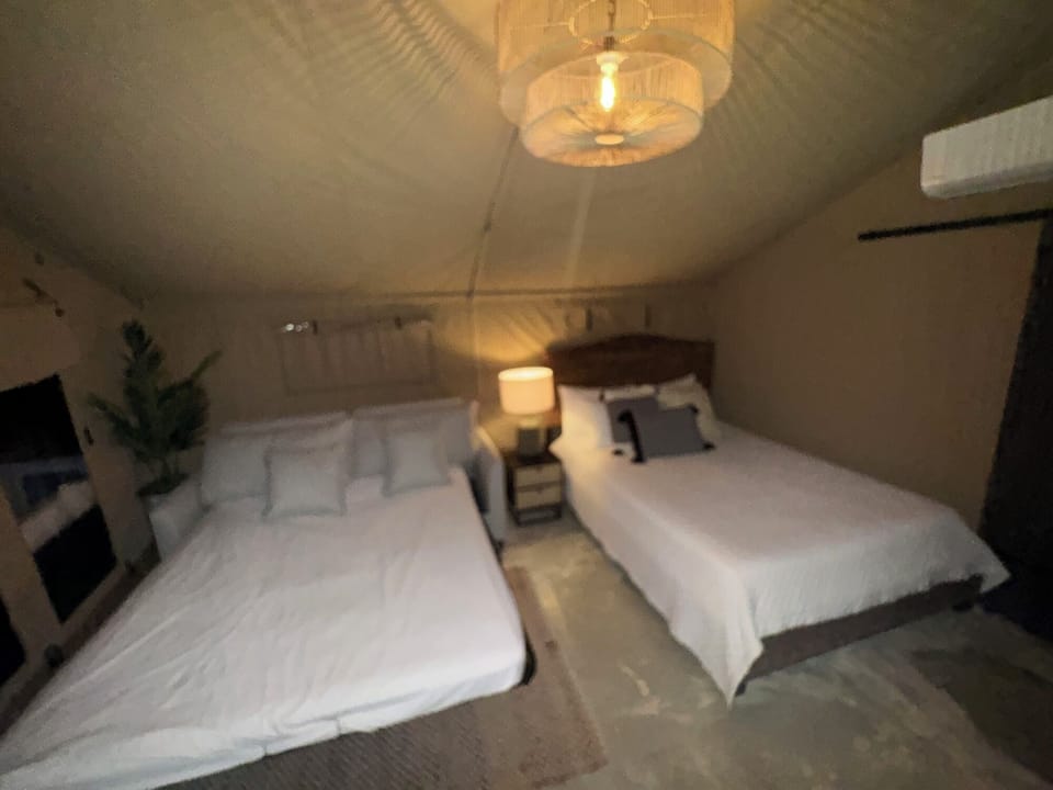 bed and sofa bed