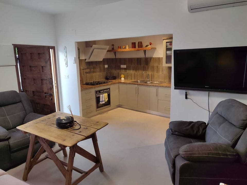 Flat-screen TV
