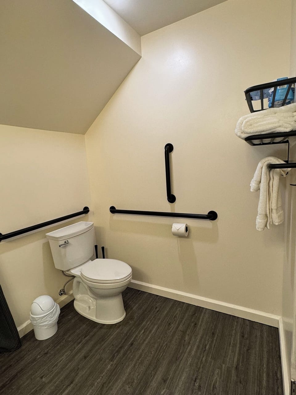 Large cabin handicapped accessible bathroom.