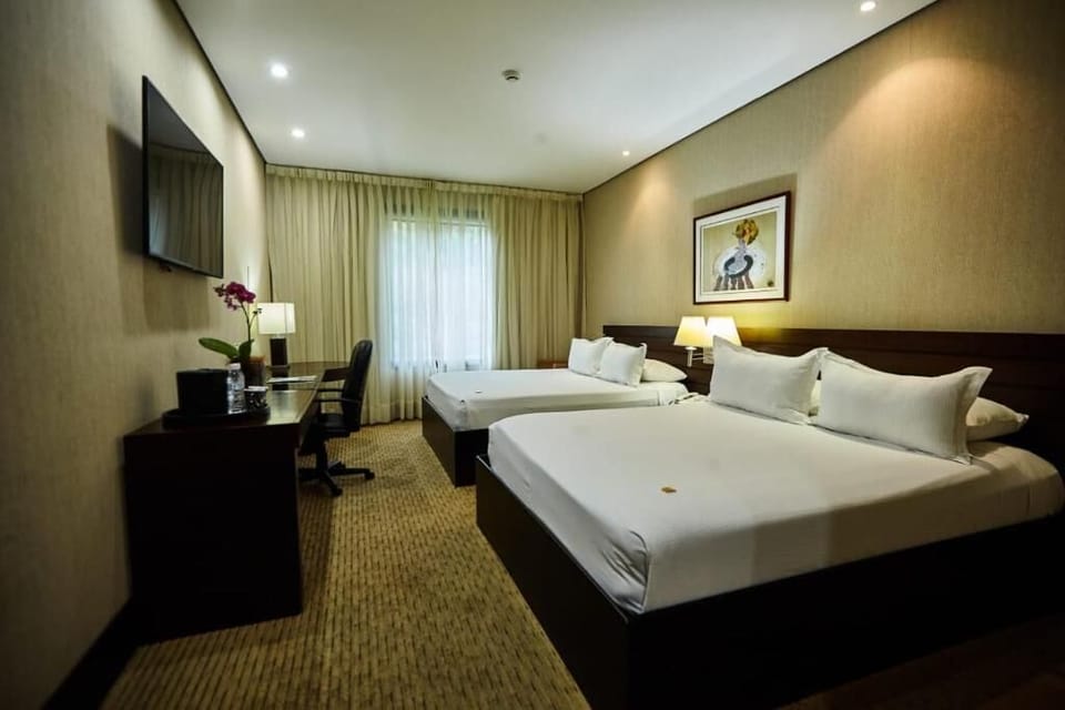 Double Room | Hypo-allergenic bedding, down comforters, in-room safe, desk