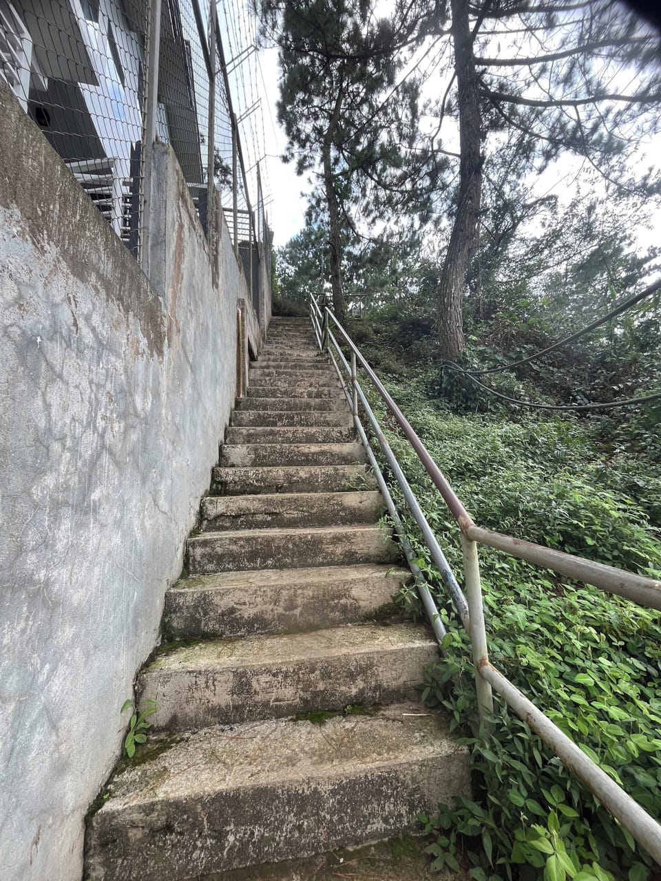 40 Steps going up to our house. 