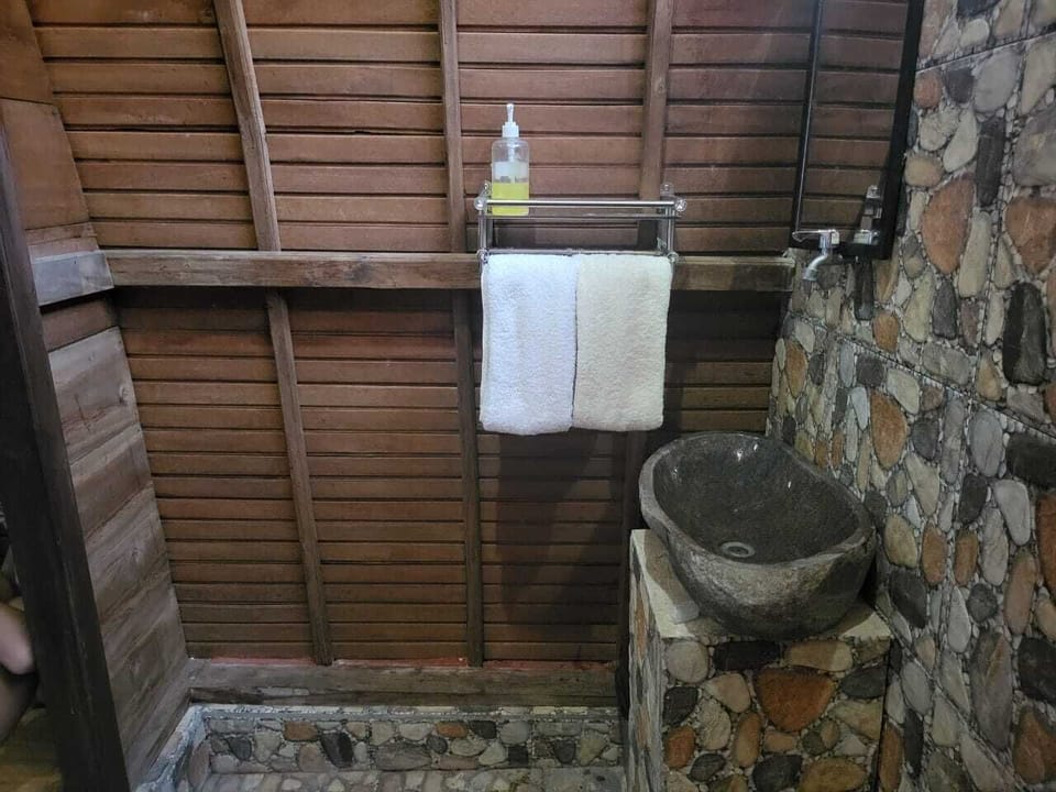 Shower, towels, soap, toilet paper